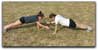 Strength (Video): Patty-Cake Planks