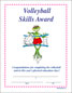 Volleyball: Skills Award