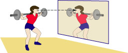 <p align=Center>Watching Your Eyes in a Mirror<br> Will Keep Your 	Head Level <br> as You Perform Squats