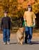 Fitness: Walk-a-Dawg Program