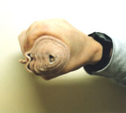 <center>Elastic Bandage Squeeze </center>