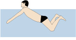 <center>Lifting the Head Causes the Hips to Drop for Poor Streamlining</center>