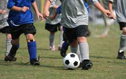 Sport-Specific Topics