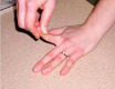 Sport Science: Elastic Energy Demonstration on a Desktop