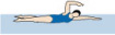 Swimming: Front Quadrant Swimming Reduces Drag